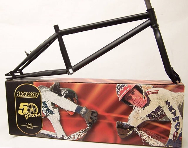 Skyway bmx frame online for sale