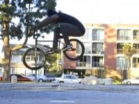 Sean Morr, Bunny Hop