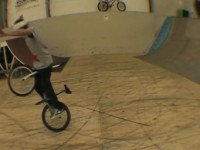 Viki Gomez, Flatland