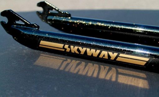 skyway ta black gold sparkle 3