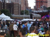 afropunk 2013