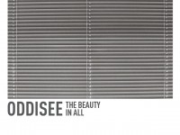 oddisee the beauty in all