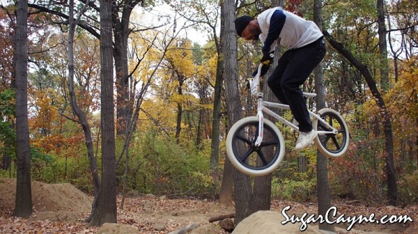 Crazy Al Cayne, Cunningham Trails