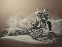 SE BMX Art rick hector