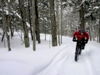 fat bike snow covered singletrack