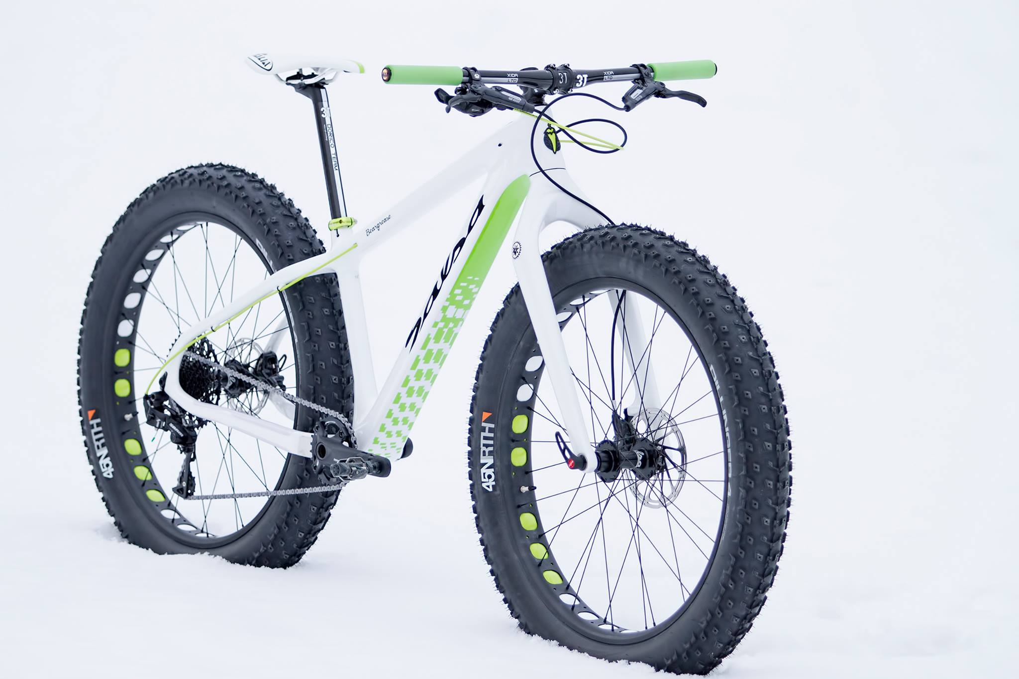 Salsa Beagrease Green Edition fat bike