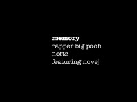 memory big pooh , nottz