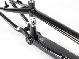 stay strong, for life bmx frame