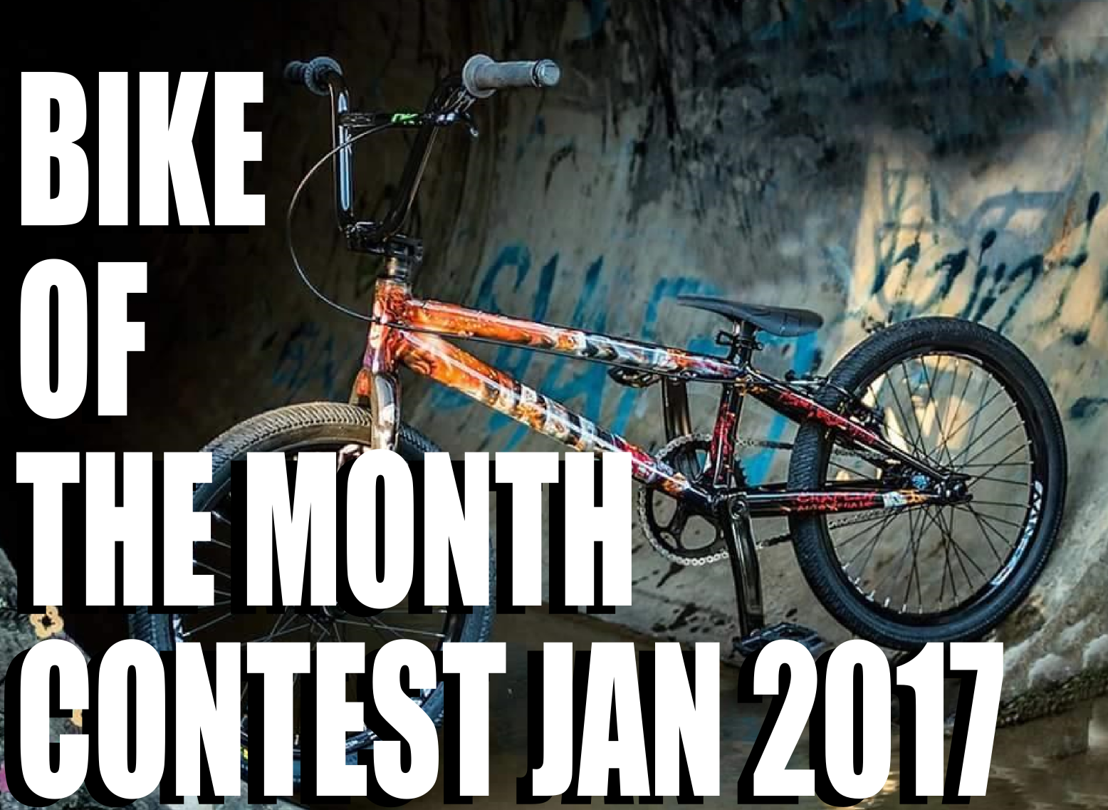 Bike of the month jan