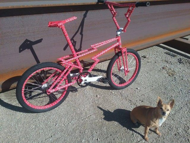 Marty Edan Zagmaster custom bmx bike