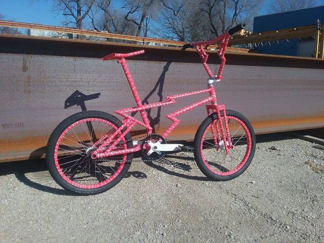 Marty Edan Zagmaster custom bmx bike 2