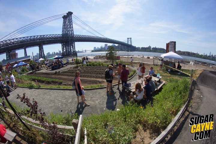 pump track brooklyn