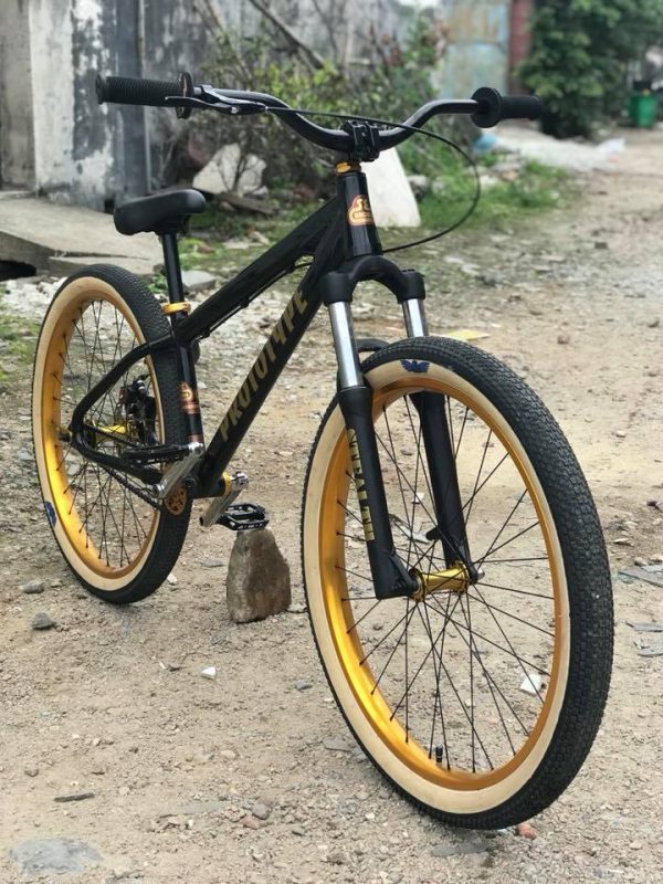 affordable dirt jumper