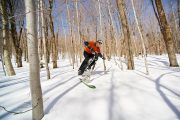 fat bike skis thumb