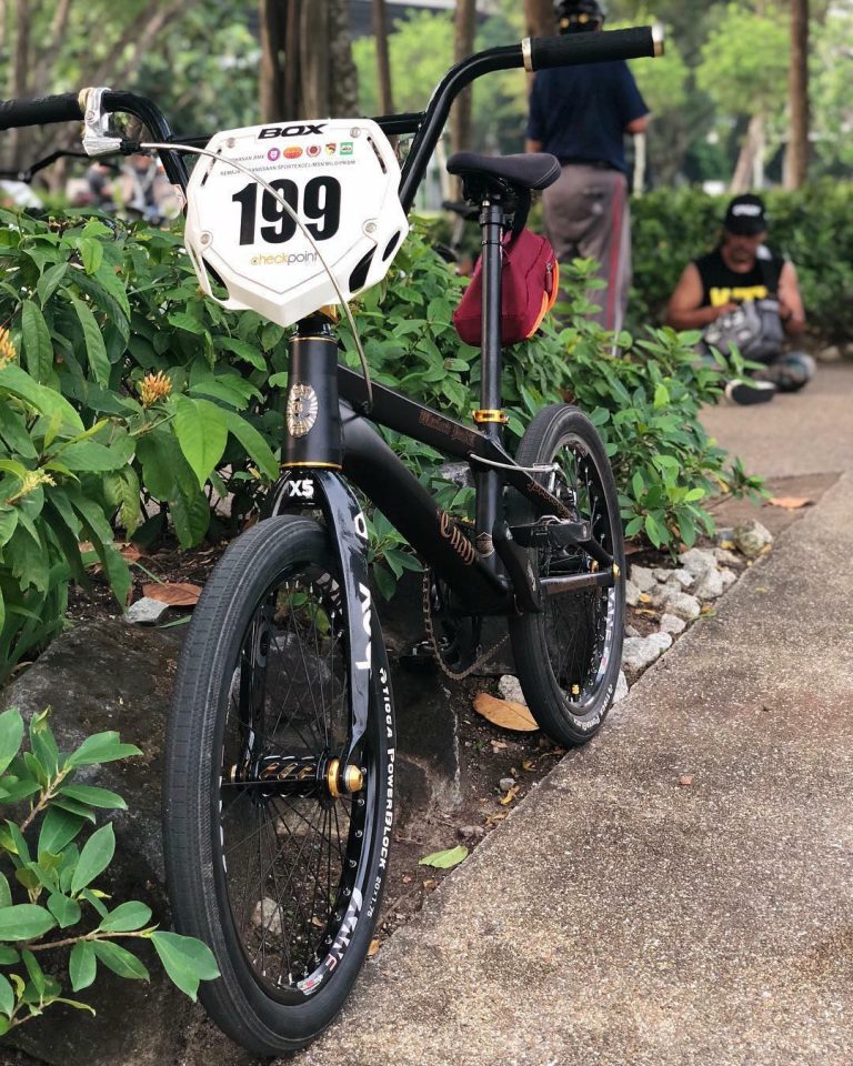 Tuah BMX Warlord Proto Pro XL 