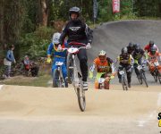 gold cup shoreham bmx race