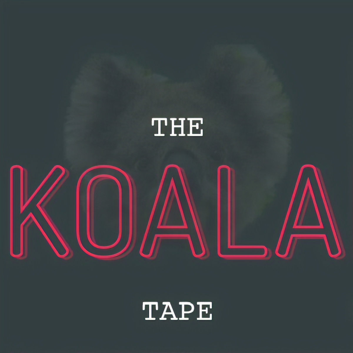 koala tape, ambrush adam