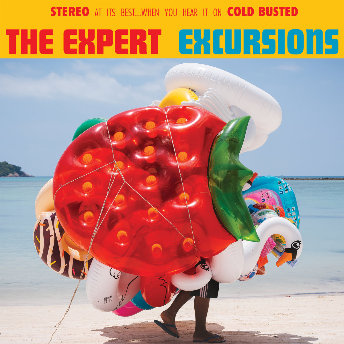 the expert excursions album