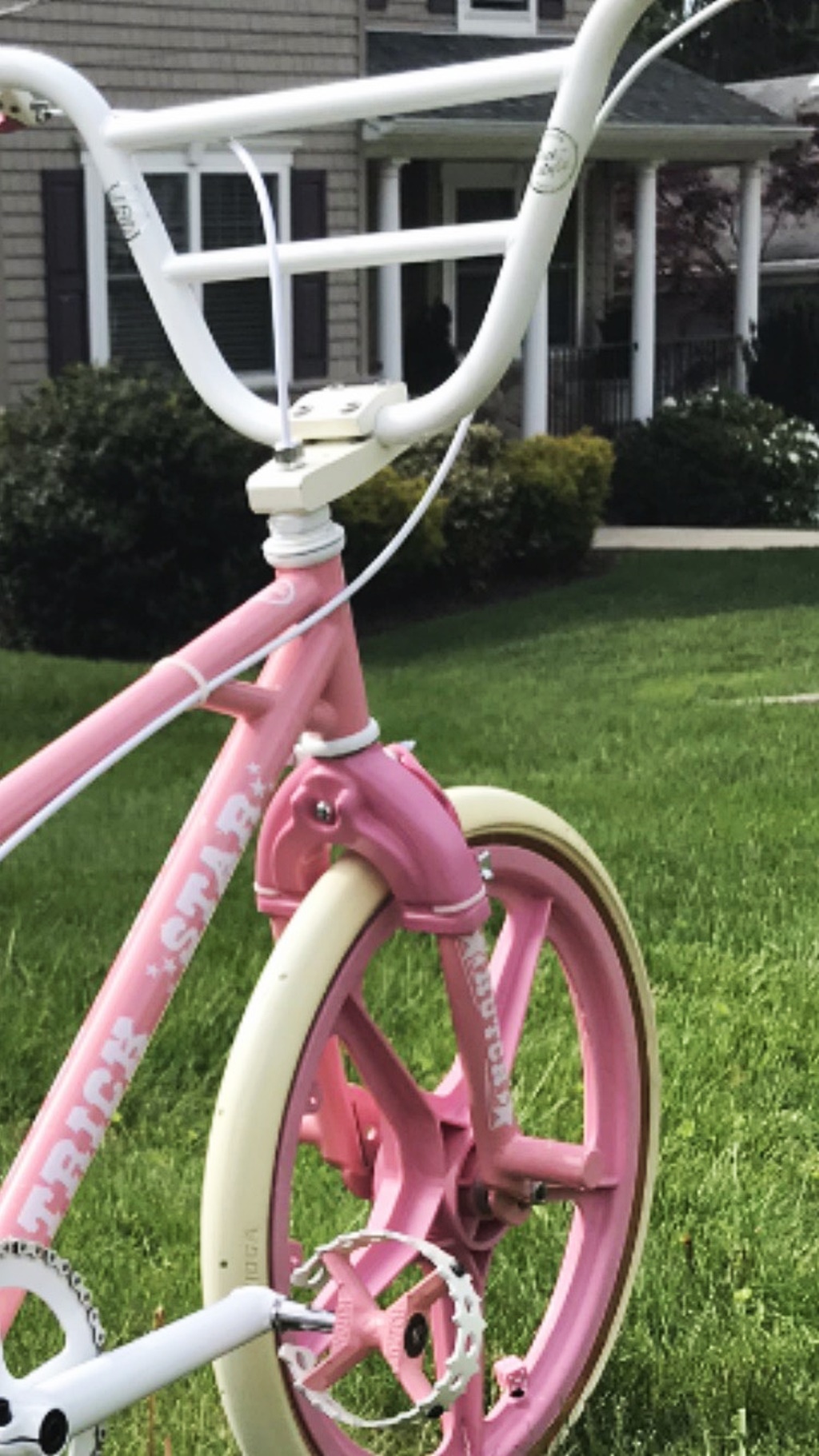 Pink hutch online bmx