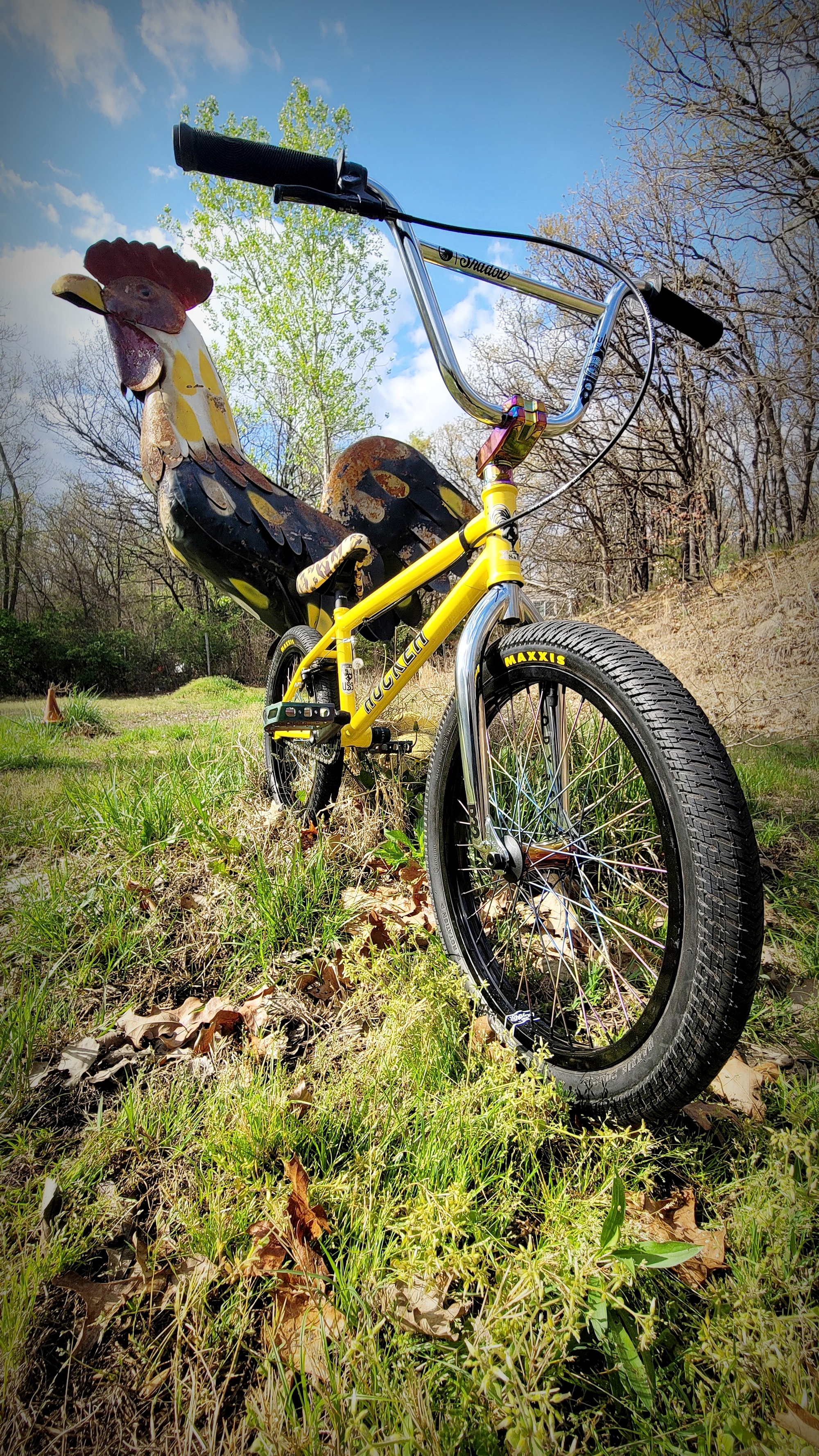 Bike Of The Day: Tyler's Custom Painted S&M Mike Hucker