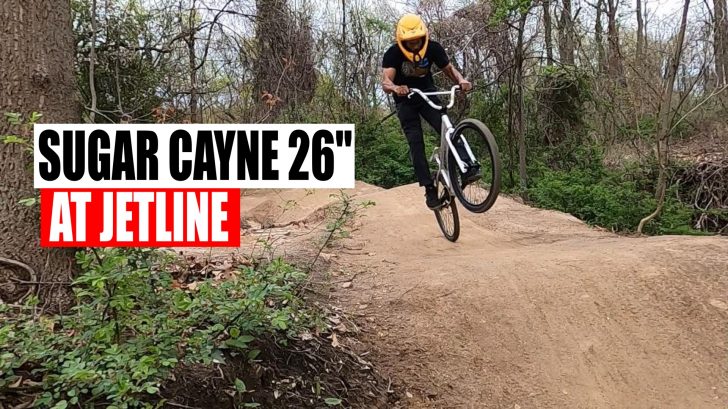 Top BMX Bikes: 24 Inch BMX Cruiser Completes - Sugar Cayne