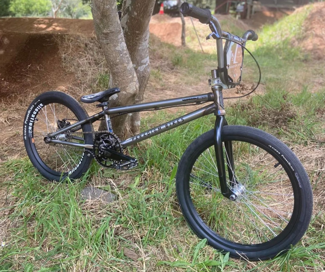 paradigm bmx bikes