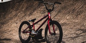 Dark Horse OS20 BMX