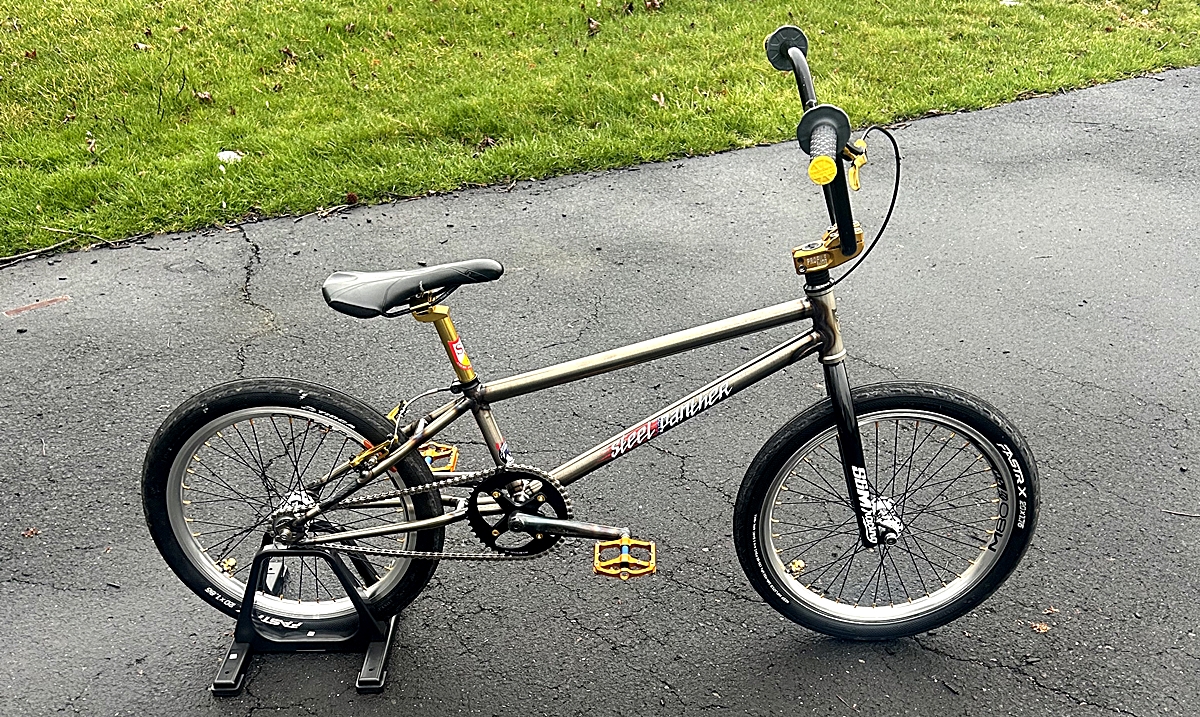 S&M Steel Panther BMX Bike