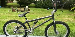 Dutch BMX 22in