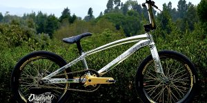 2024 Daylight Wavelength BMX Racing Bike