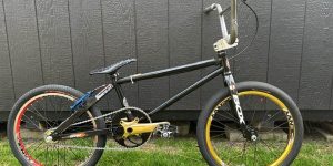 2009 Bulldog Blackstar BMX Bike